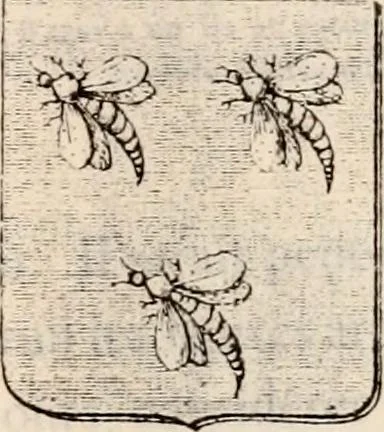 An illustration from Traité complet de la science du blason : à l'usage des bibliophiles, archéologues, amateurs d'objets d'art et de curiosité, numismates, archivistes, artistes, etc., 1880, leaf 276
