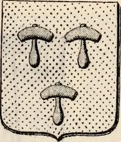 An illustration from Traité complet de la science du blason : à l'usage des bibliophiles, archéologues, amateurs d'objets d'art et de curiosité, numismates, archivistes, artistes, etc., 1880, leaf 312