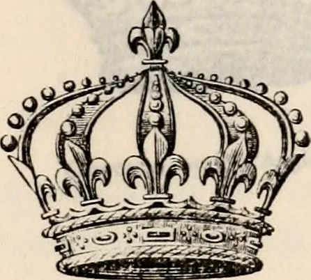 An illustration from Traité complet de la science du blason : à l'usage des bibliophiles, archéologues, amateurs d'objets d'art et de curiosité, numismates, archivistes, artistes, etc., 1880, leaf 368