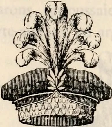 An illustration from Traité complet de la science du blason : à l'usage des bibliophiles, archéologues, amateurs d'objets d'art et de curiosité, numismates, archivistes, artistes, etc., 1880, leaf 388
