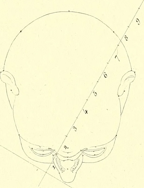 An illustration from Traité complet de la peinture, 1829, leaf 130