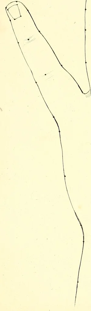 An illustration from Traité complet de la peinture, 1829, leaf 142