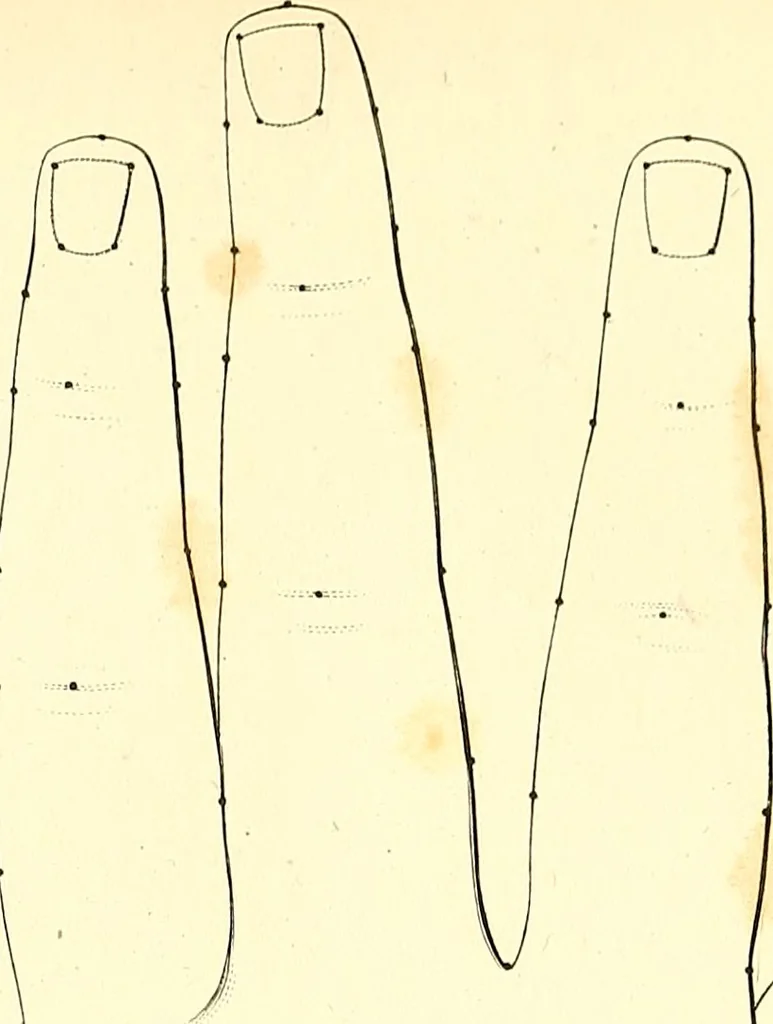 An illustration from Traité complet de la peinture, 1829, leaf 142