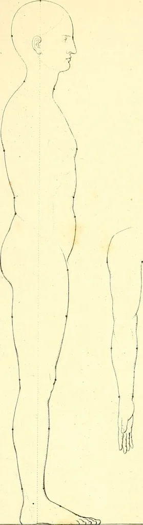 An illustration from Traité complet de la peinture, 1829, leaf 18