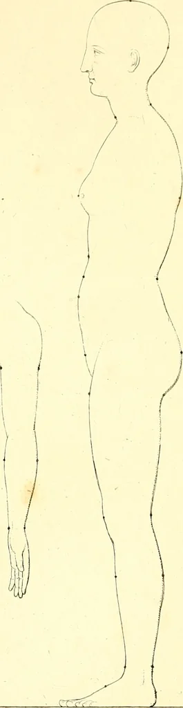 An illustration from Traité complet de la peinture, 1829, leaf 18