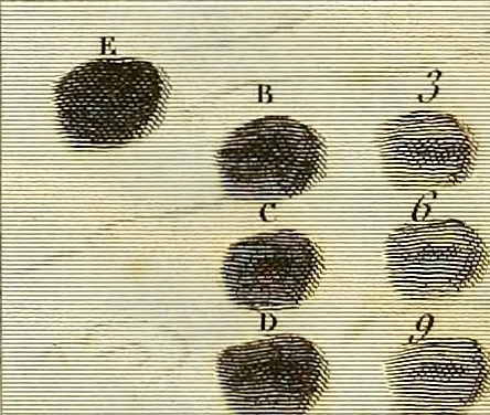 An illustration from Traité complet de la peinture, 1829, leaf 218