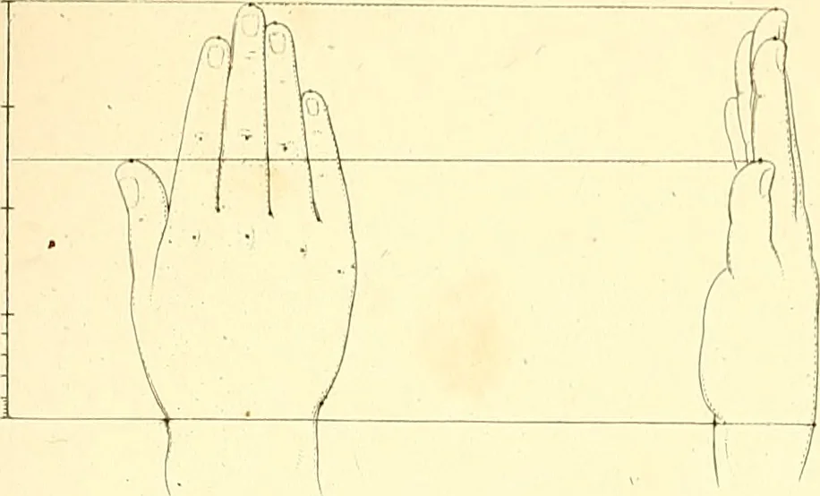 An illustration from Traité complet de la peinture, 1829, leaf 24