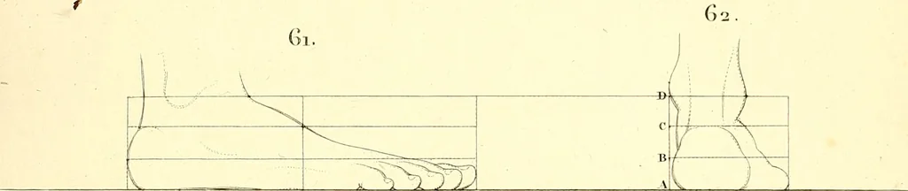 An illustration from Traité complet de la peinture, 1829, leaf 24
