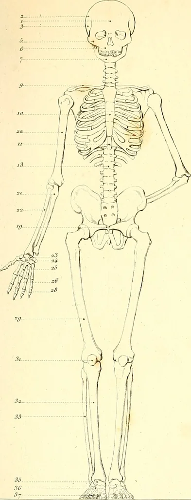 An illustration from Traité complet de la peinture, 1829, leaf 26