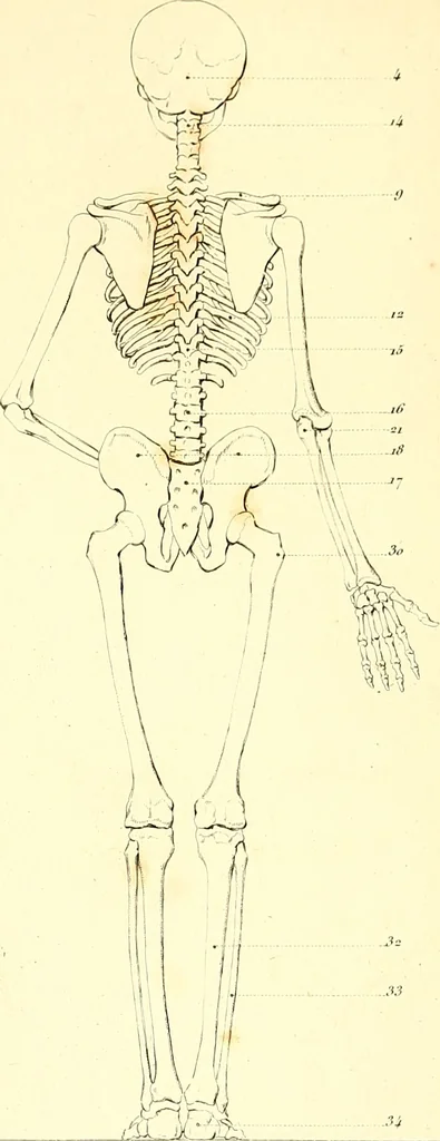 An illustration from Traité complet de la peinture, 1829, leaf 26