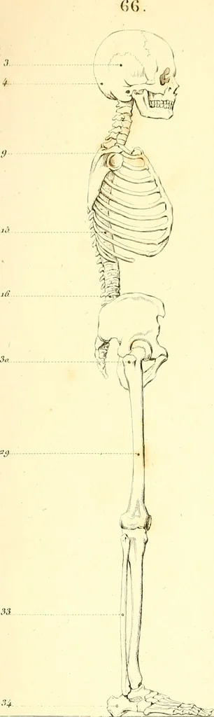 An illustration from Traité complet de la peinture, 1829, leaf 28