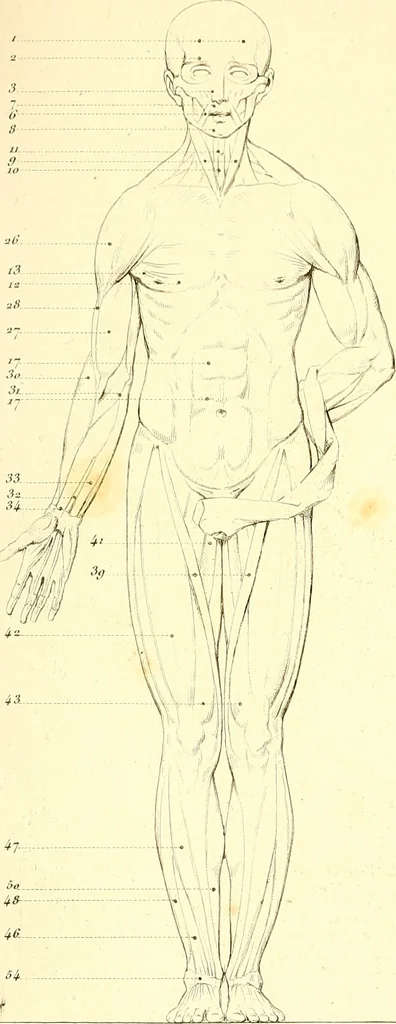 An illustration from Traité complet de la peinture, 1829, leaf 30
