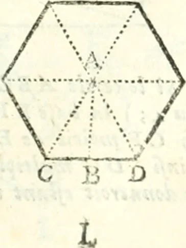 An illustration from Traité de geometrie, 1690, leaf 172