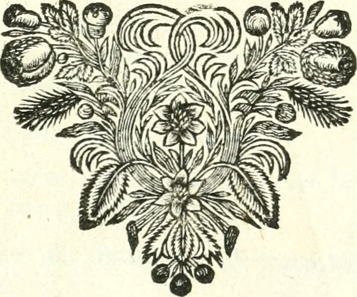 An illustration from Traité de geometrie, 1690, leaf 8