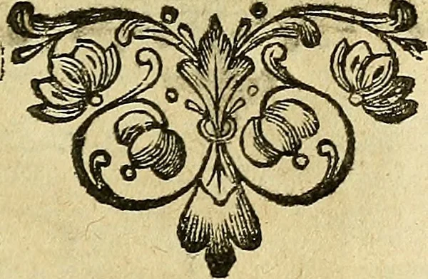 An illustration from Traité de géométrie theorique et pratique : a l'usage des artistes, 1764, leaf 126