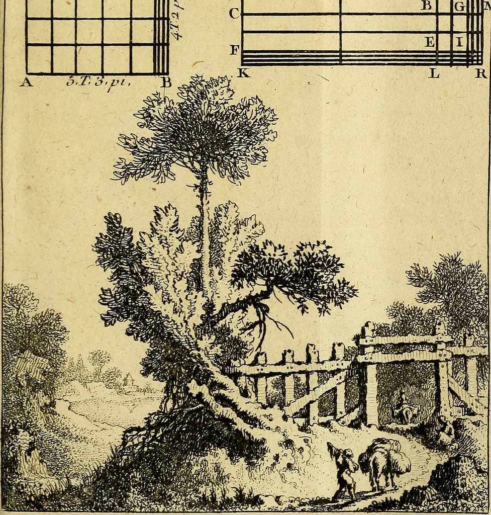 An illustration from Traité de géométrie theorique et pratique : a l'usage des artistes, 1764, leaf 226