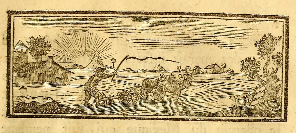 An illustration from Traité de la culture du nopal, et de l'éducation de la cochenille dans les colonies françaises de l'Amérique; précédé d'un Voyage a Guaxaca,, 1787, leaf 187