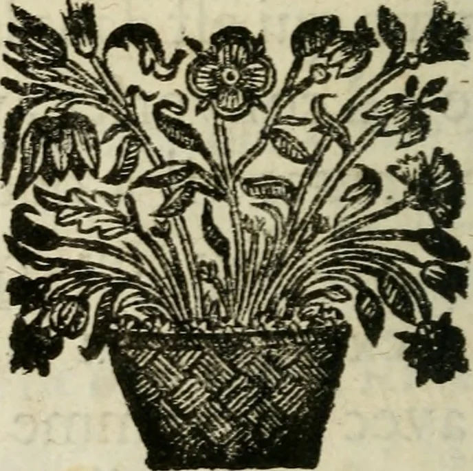 An illustration from Traité de la paresse, ou, L'art de bien employer le temps en toute sorte de conditions, 1677, leaf 17