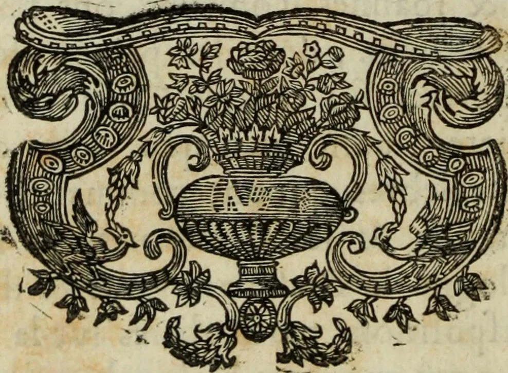 An illustration from Traité de la preuve par témoins en matière civile ..., 1697, leaf 19