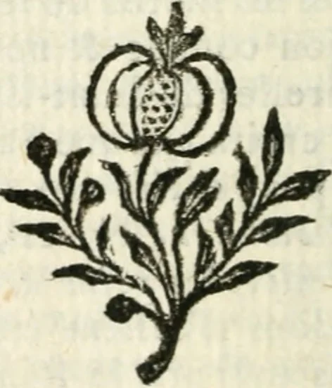 An illustration from Traité de la verité de la religion chrêtienne .., 1688, leaf 159
