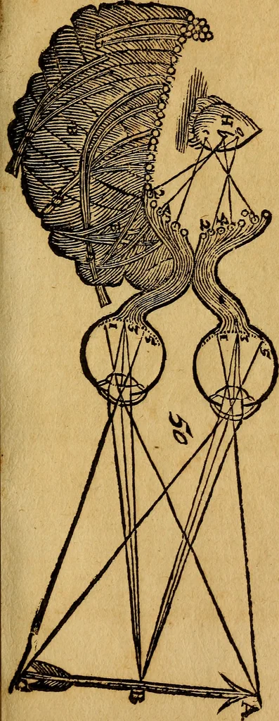 An illustration from Traité de l'esprit de l'homme : de ses facultez, de ses fonctions,, 1725, leaf 398