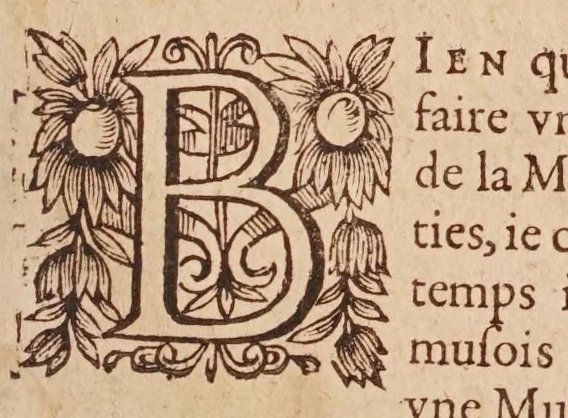 An illustration from Traité de l'harmonie vniverselle : où est contenu la musique theorique & pratique des anciens & modernes, auec les causes de ses effets : enrichie de raisons prises de la philosophie, & des mathematiques, 1627, leaf 33