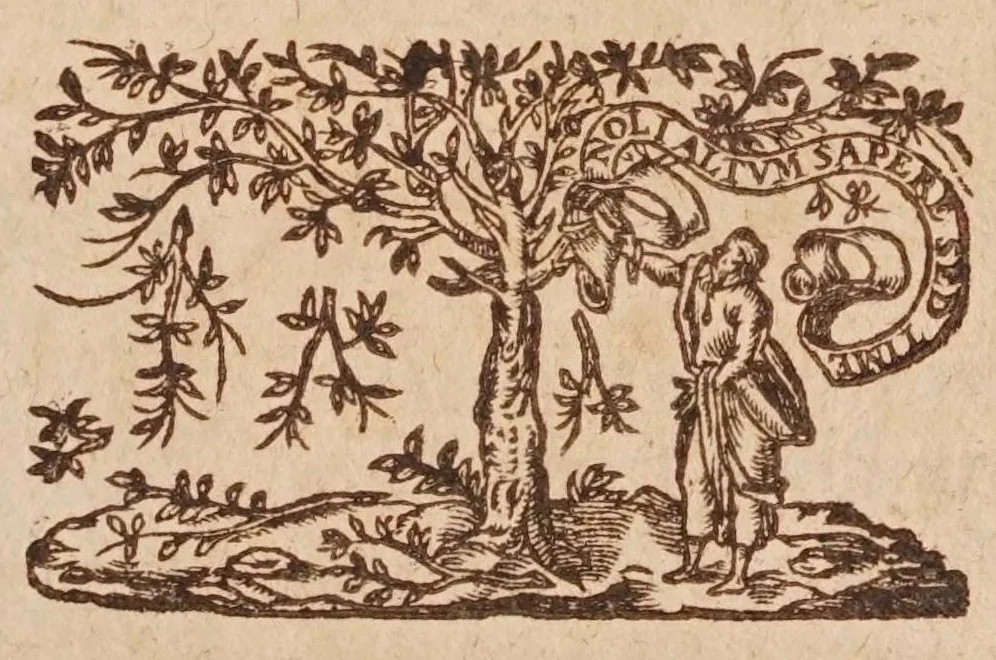 An illustration from Traité de l'harmonie vniverselle : où est contenu la musique theorique & pratique des anciens & modernes, auec les causes de ses effets : enrichie de raisons prises de la philosophie, & des mathematiques, 1627, leaf 341