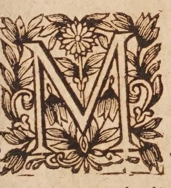 An illustration from Traité de l'harmonie vniverselle : où est contenu la musique theorique & pratique des anciens & modernes, auec les causes de ses effets : enrichie de raisons prises de la philosophie, & des mathematiques, 1627, leaf 343