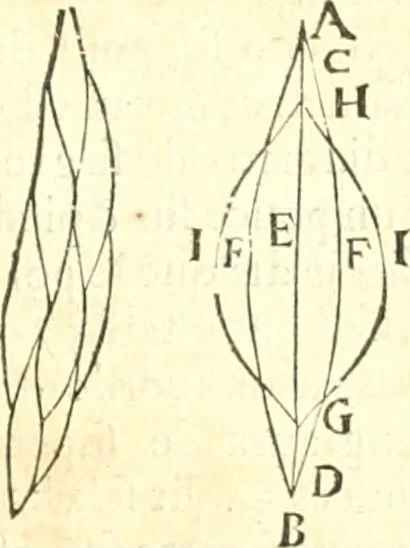 An illustration from Traité de mecanique, ou l'on explique tout ce qui est necessaire dans la pratique des arts, & les proprietés des corps pesans lesquelles ont un plus grand usage dans la physique, 1729, leaf 258