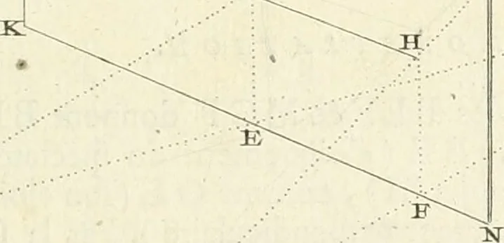 An illustration from Traité de perspective a l'usage des artistes : où l'on démontre géométriquement toutes les pratiques de cette science, & où l'on enseigne, selon la méthode de M. le Clerc, à mettre toutes sortes d'objets en perspective, leur reverbération dans l'eau, & leurs ombres, tant au soleil qu'au flambeau, 1750, leaf 36
