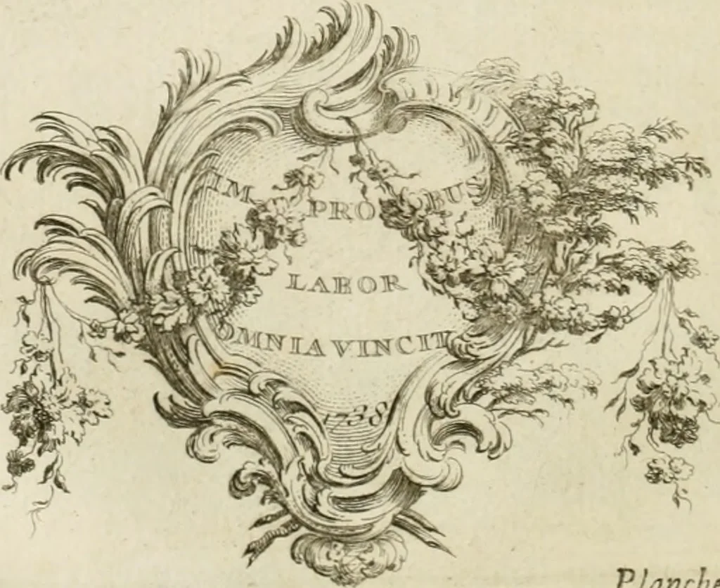 An illustration from Traité de perspective a l'usage des artistes : où l'on démontre géométriquement toutes les pratiques de cette science, & où l'on enseigne, selon la méthode de M. le Clerc, à mettre toutes sortes d'objets en perspective, leur reverbération dans l'eau, & leurs ombres, tant au soleil qu'au flambeau, 1750, leaf 51