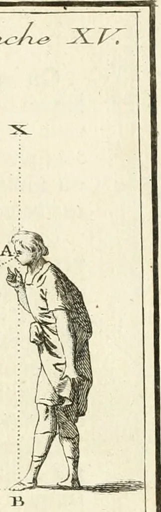 An illustration from Traité de perspective a l'usage des artistes : où l'on démontre géométriquement toutes les pratiques de cette science, & où l'on enseigne, selon la méthode de M. le Clerc, à mettre toutes sortes d'objets en perspective, leur reverbération dans l'eau, & leurs ombres, tant au soleil qu'au flambeau, 1750, leaf 56