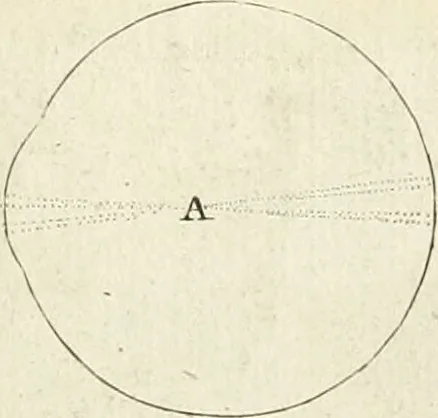An illustration from Traité de perspective a l'usage des artistes : où l'on démontre géométriquement toutes les pratiques de cette science, & où l'on enseigne, selon la méthode de M. le Clerc, à mettre toutes sortes d'objets en perspective, leur reverbération dans l'eau, & leurs ombres, tant au soleil qu'au flambeau, 1750, leaf 56