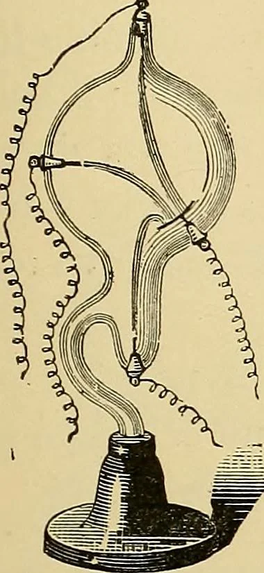 An illustration from Traité de radiographie médicale et scientifique : cours libre professé a l'écolepratique de la Faculté de Médecine de Paris, deuxième semestre de 1896-1897, 1897, leaf 162