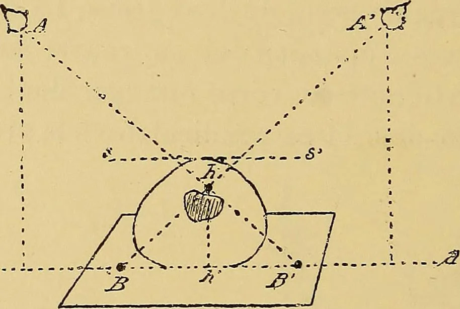 An illustration from Traité de radiographie médicale et scientifique : cours libre professé a l'écolepratique de la Faculté de Médecine de Paris, deuxième semestre de 1896-1897, 1897, leaf 315
