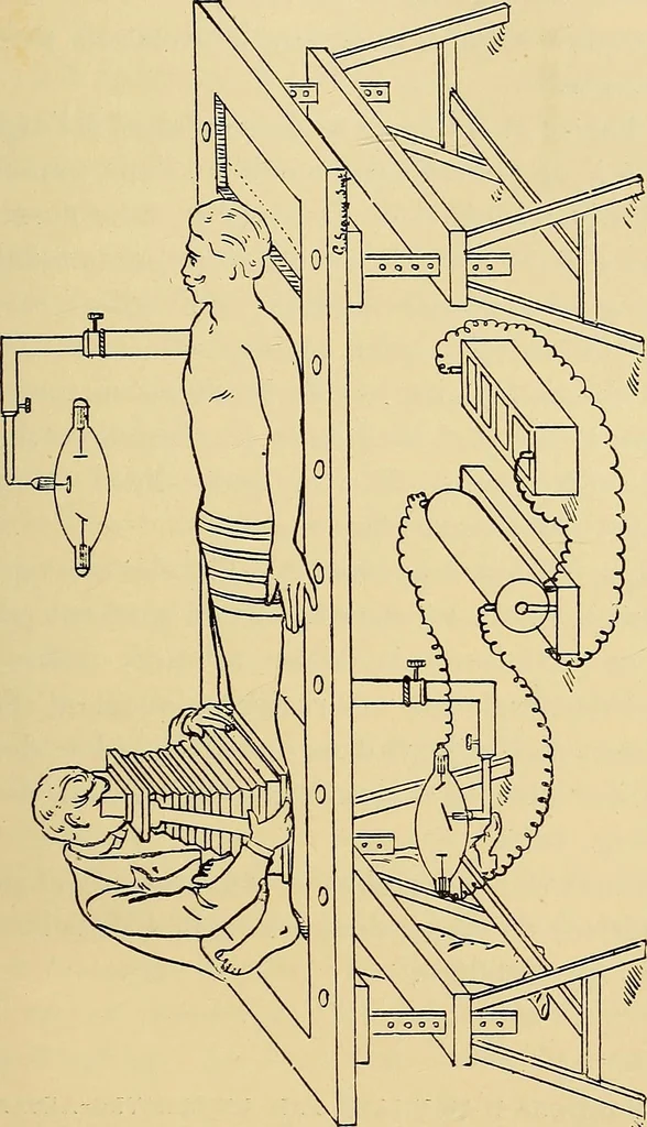 An illustration from Traité de radiographie médicale et scientifique : cours libre professé a l'écolepratique de la Faculté de Médecine de Paris, deuxième semestre de 1896-1897, 1897, leaf 378