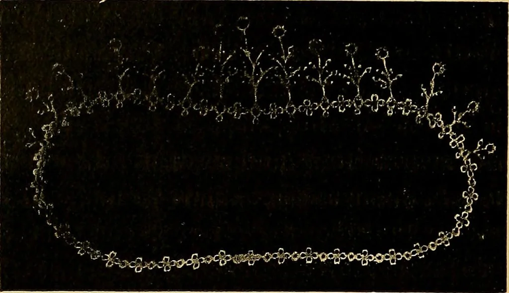 An illustration from Traité de radiographie médicale et scientifique : cours libre professé a l'écolepratique de la Faculté de Médecine de Paris, deuxième semestre de 1896-1897, 1897, leaf 463
