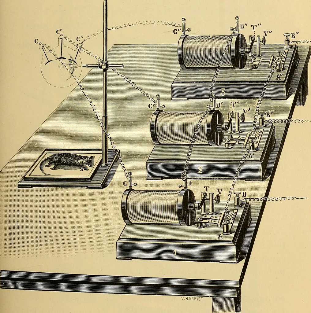 An illustration from Traité de radiographie médicale et scientifique : cours libre professé a l'écolepratique de la Faculté de Médecine de Paris, deuxième semestre de 1896-1897, 1897, leaf 86