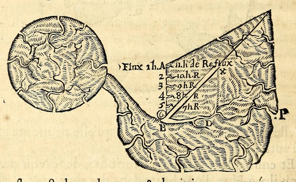 An illustration from Traité des causes naturelles du flux, et du reflex de la mer., 1680, leaf 74