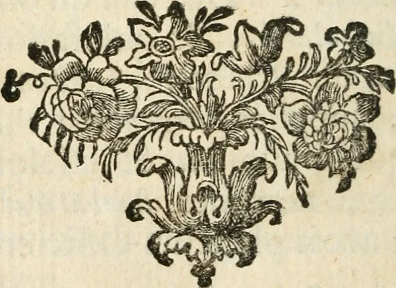 An illustration from Traité des finances et de la fausse monnoie des Romains, auquel on a joint une dissertation sur la maniere de discerner les médailles antiques d'avec les contrefaites, 1740, leaf 255