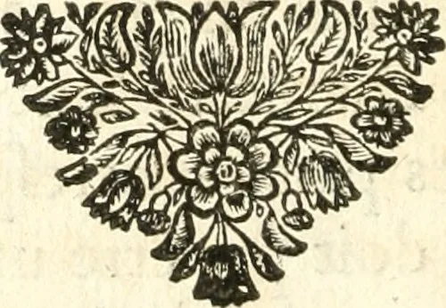 An illustration from Traité des lignes du premier genre, expliquées par une methode nouvelle & facile, 1687, leaf 15