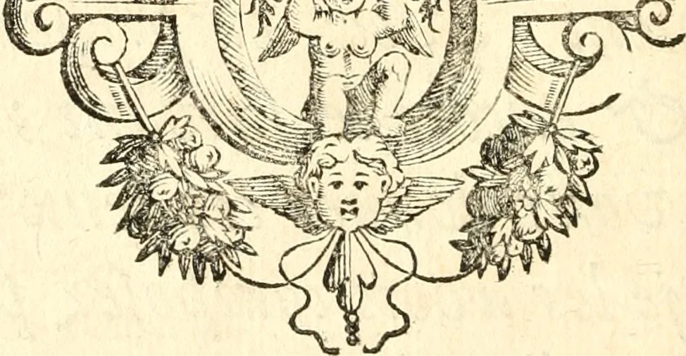 An illustration from Traité des lignes du premier genre, expliquées par une methode nouvelle & facile, 1687, leaf 305