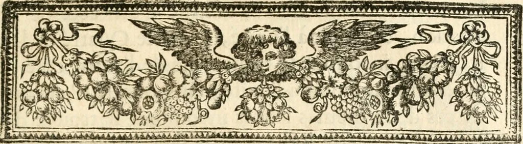 An illustration from Traité des lignes du premier genre, expliquées par une methode nouvelle & facile, 1687, leaf 306