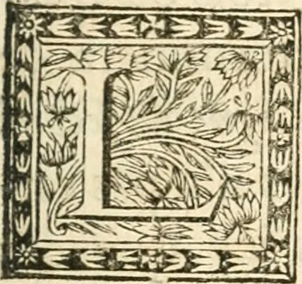 An illustration from Traité des lignes du premier genre, expliquées par une methode nouvelle & facile, 1687, leaf 306