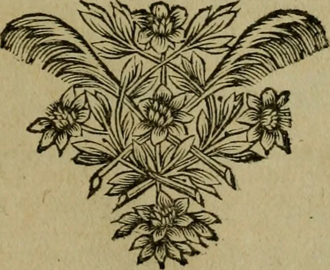 An illustration from Traité des pratiques geometrales et perspectives : enseignées dans l'Academie royale de la peinture et sculpture, 1665, leaf 70