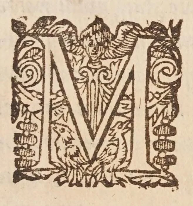An illustration from Traité des quantitez incomensurables [sic] : ou sont decidees plusieurs belles questions des nombres rationaus & irrationaus. Les erreurs de Stevin refutées. Et le dizieme livre d'Euclide illustré de nouueles [sic] demonstrations plus faciles & plus succinctes que les ordinaires, & reduit à 62. propositions. Avec vn Discours de la maniere d'expliquer les sciences en françois .., 1640, leaf 291