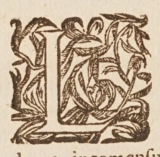 An illustration from Traité des quantitez incomensurables [sic] : ou sont decidees plusieurs belles questions des nombres rationaus & irrationaus. Les erreurs de Stevin refutées. Et le dizieme livre d'Euclide illustré de nouueles [sic] demonstrations plus faciles & plus succinctes que les ordinaires, & reduit à 62. propositions. Avec vn Discours de la maniere d'expliquer les sciences en françois .., 1640, leaf 66
