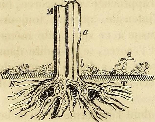 An illustration from Traité d'électricité et de magnétisme : et des applications de ces sciences a la chimie, a la physiologie et aux arts, 1855, leaf 277
