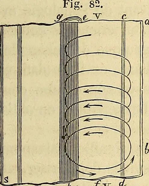 An illustration from Traité d'électricité et de magnétisme : et des applications de ces sciences a la chimie, a la physiologie et aux arts, 1855, leaf 280