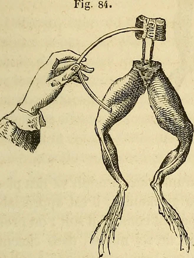 An illustration from Traité d'électricité et de magnétisme : et des applications de ces sciences a la chimie, a la physiologie et aux arts, 1855, leaf 292